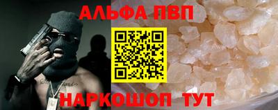 крисы Славгород