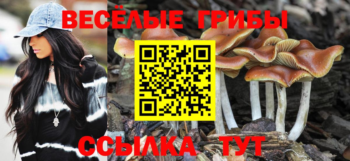 Новошахтинск  Псилоцибиновые грибы мухоморы  Вход с VPN  Галлюциногенные грибы Psilocybe 