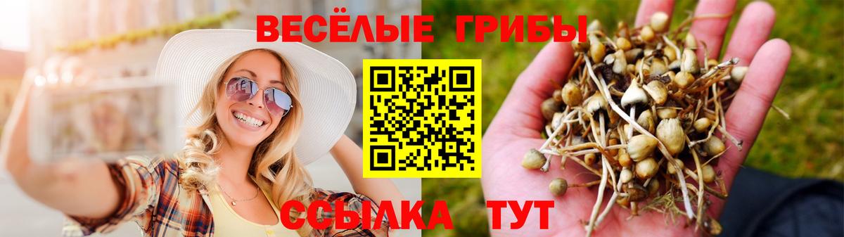 Галлюциногенные грибы Magic Shrooms Новошахтинск